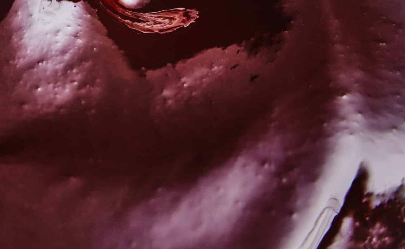 Purée Griotte HD