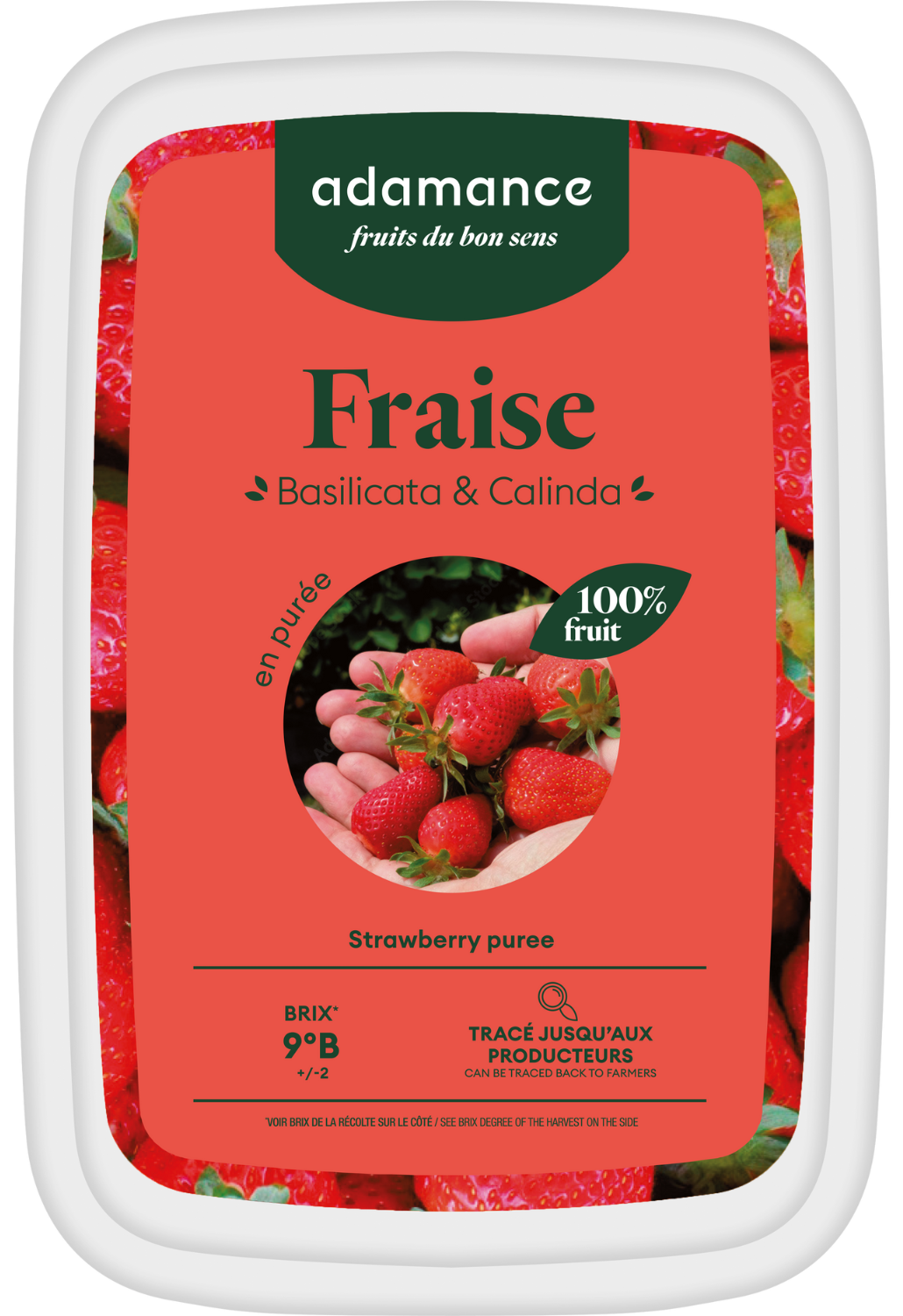 purée fraise surgelée basilicata calinda adamance